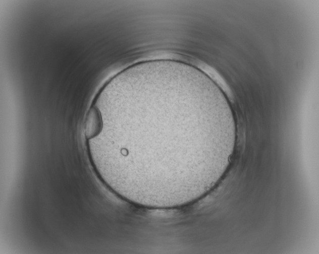 X0000111370805200907311032