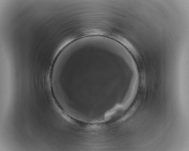 X0000111370806200907311032