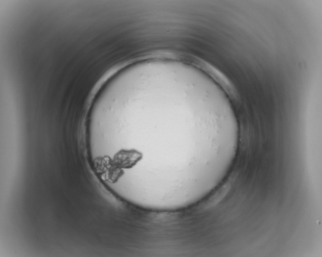 X0000111370808200907311032