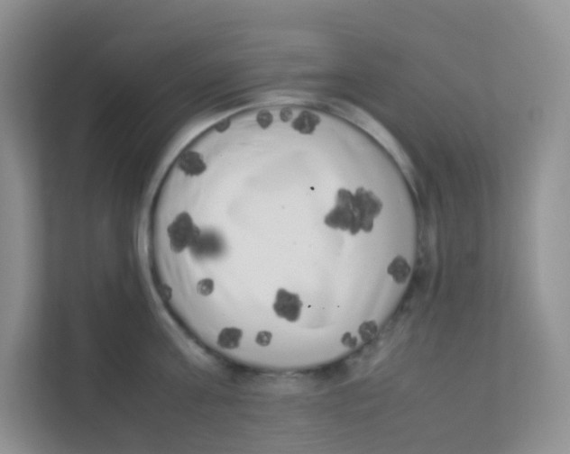 X0000111370811200907311032