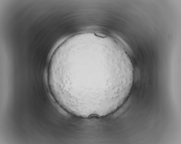 X0000111370812200907311032