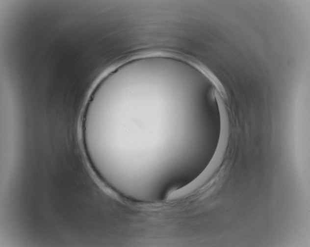 X0000111370813200907311032