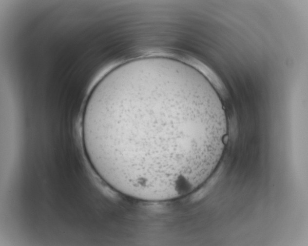 X0000111370814200907311032