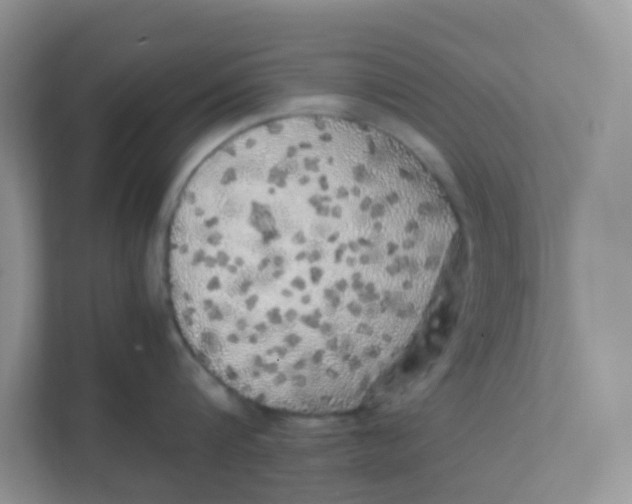 X0000111370816200907311032