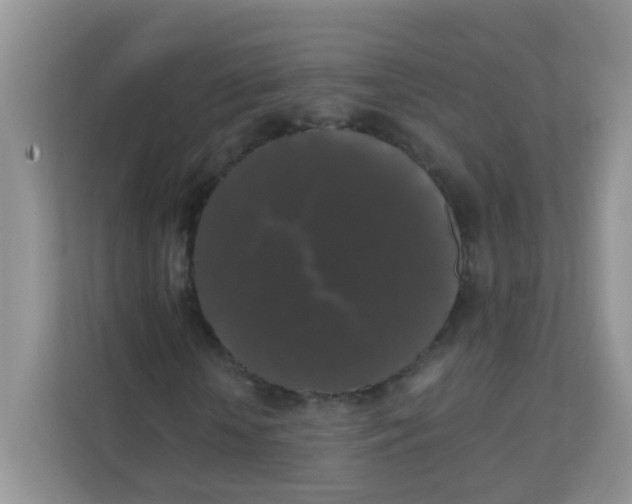 X0000111370818200907311031