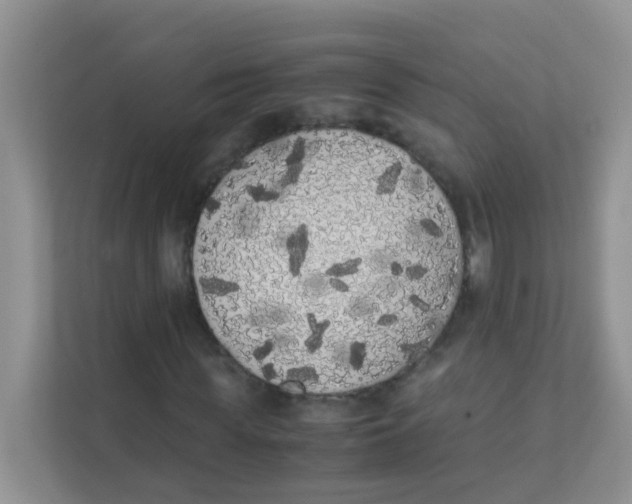 X0000111370819200907311031