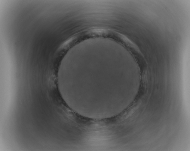 X0000111370822200907311031