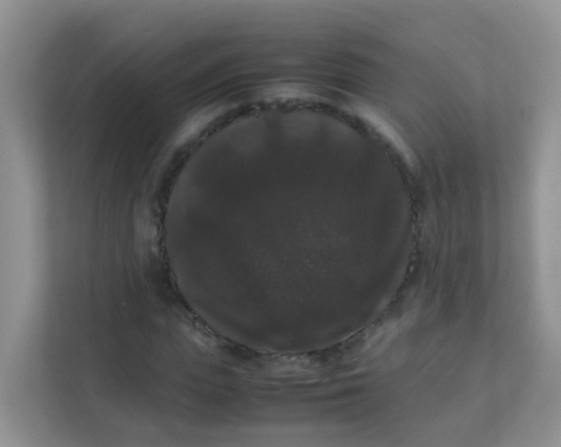 X0000111370823200907311031