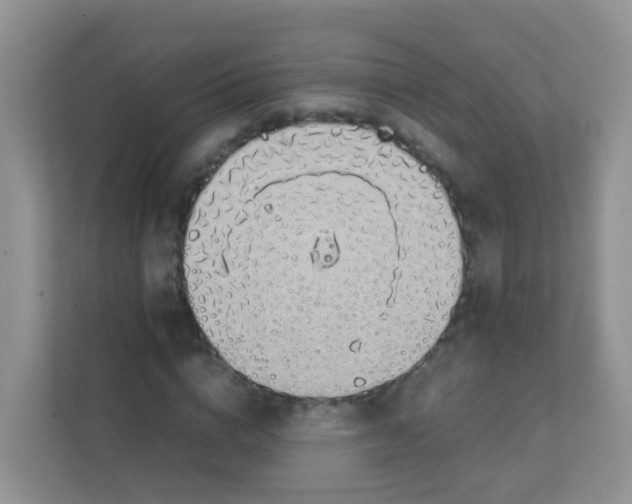 X0000111370824200907311031