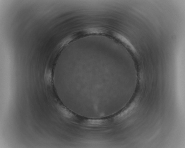 X0000111370825200907311031