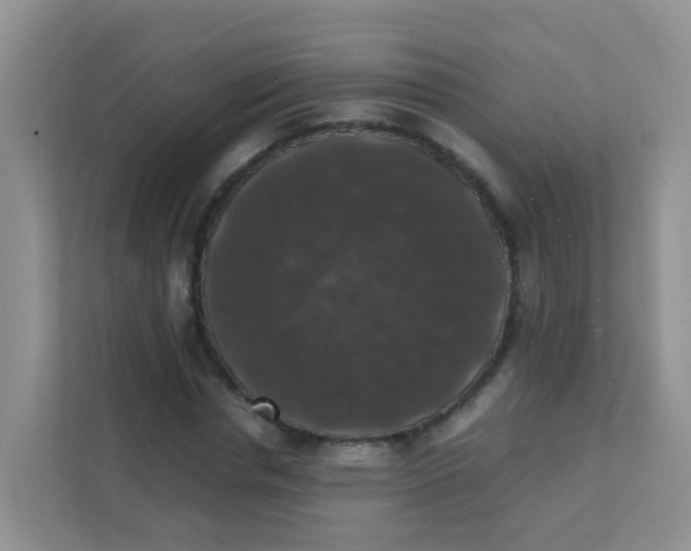 X0000111370826200907311031