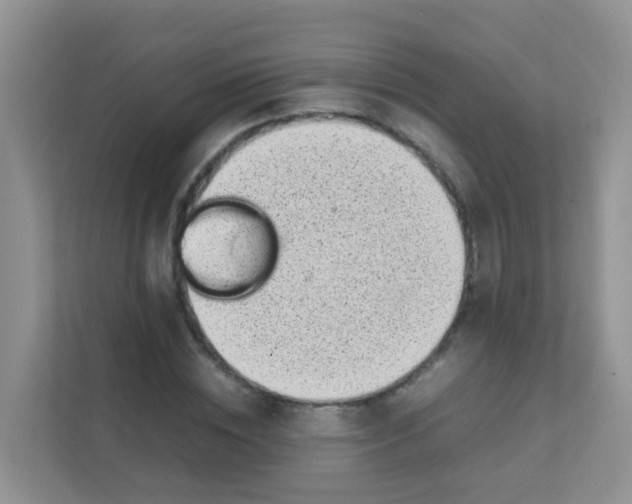 X0000111370828200907311031