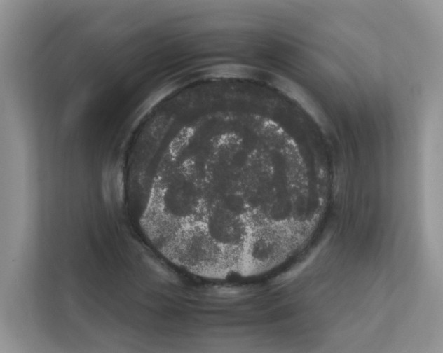 X0000111370829200907311031