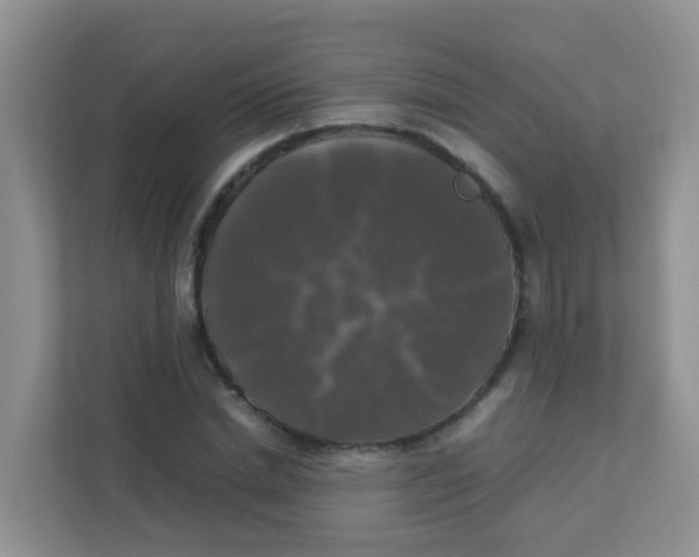 X0000111370830200907311031