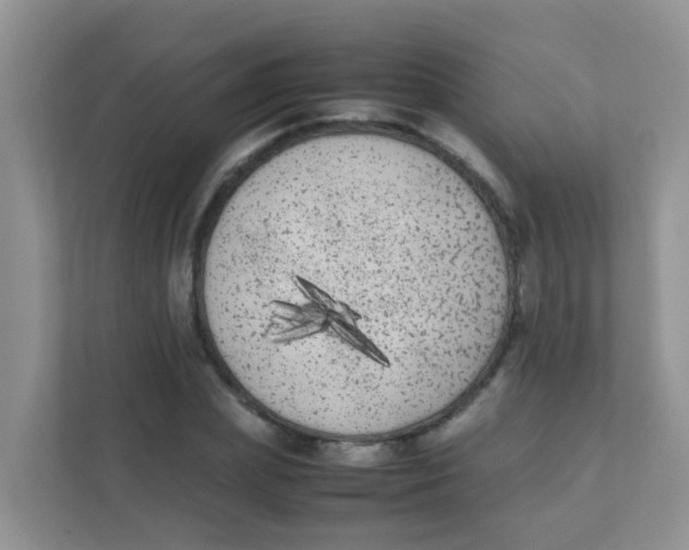 X0000111370831200907311031