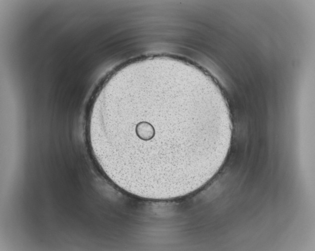 X0000111370832200907311031