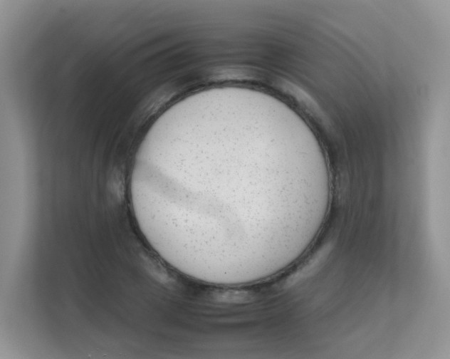 X0000111370833200907311031