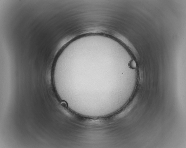 X0000111370834200907311031