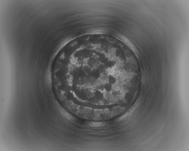 X0000111370835200907311031