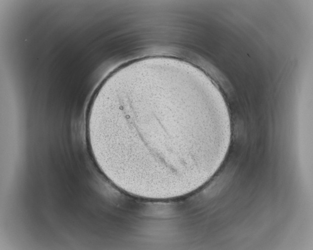 X0000111370836200907311031