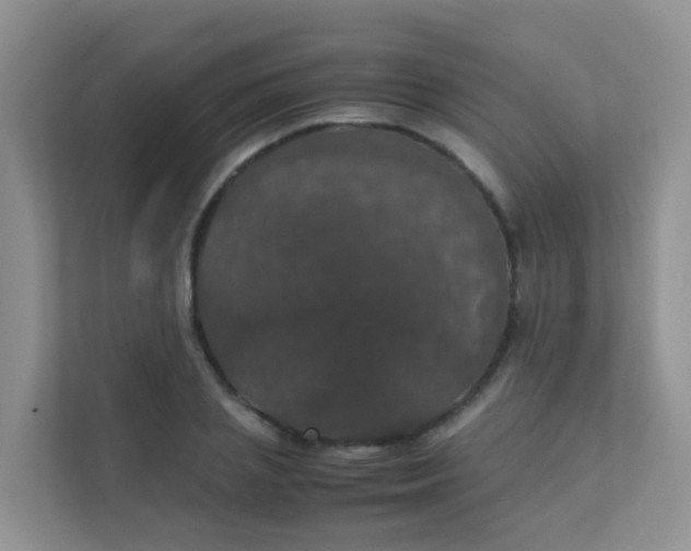 X0000111370837200907311031