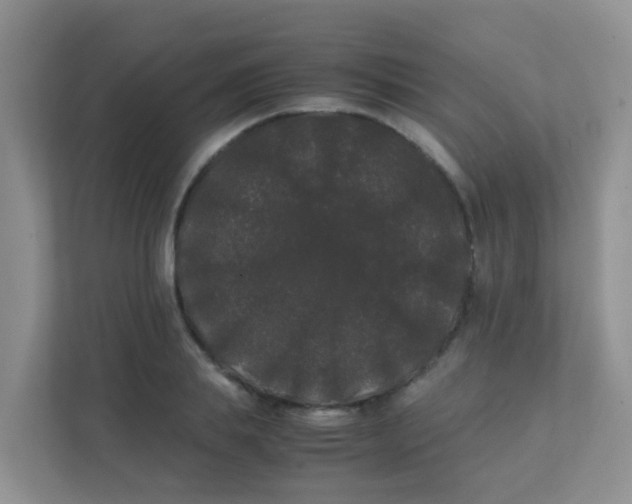 X0000111370839200907311031