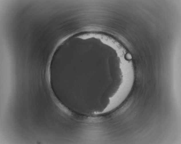 X0000111370840200907311031