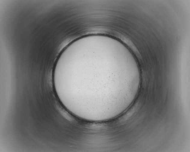 X0000111370842200907311031