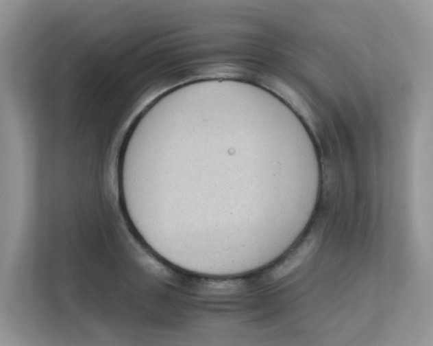 X0000111370843200907311031