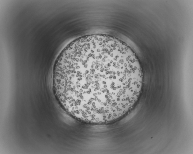 X0000111370844200907311031