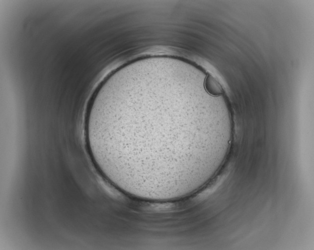 X0000111370845200907311031