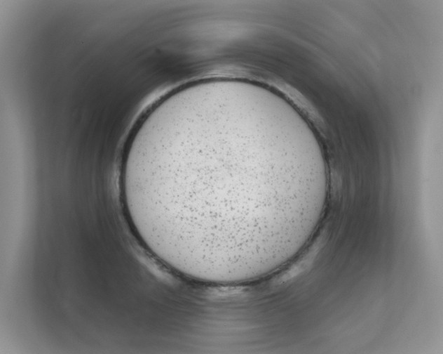 X0000111370846200907311031