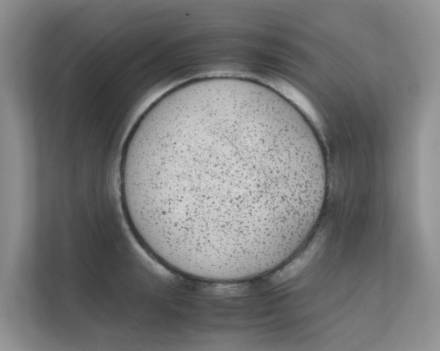 X0000111370847200907311031