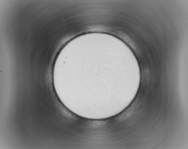 X0000111370848200907311031