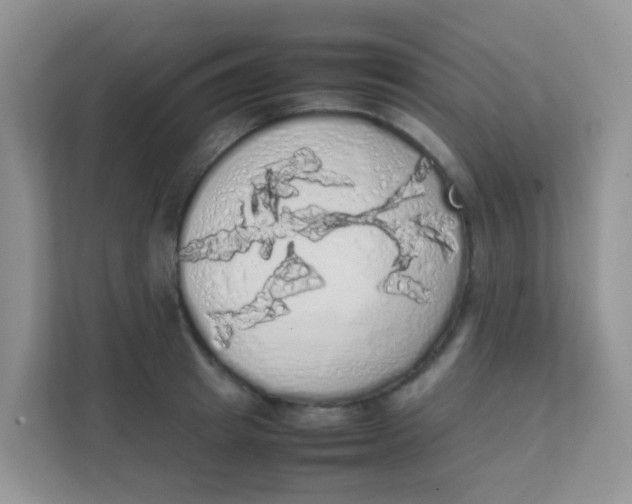 X0000111370849200907311031