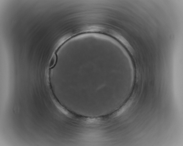 X0000111370850200907311031