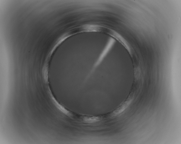 X0000111370851200907311031