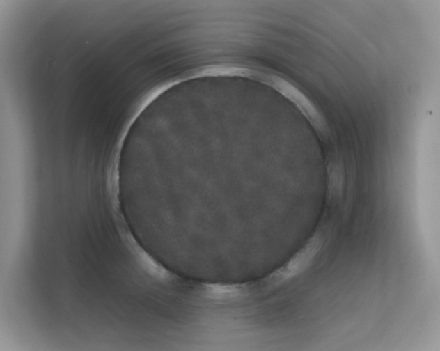 X0000111370852200907311031