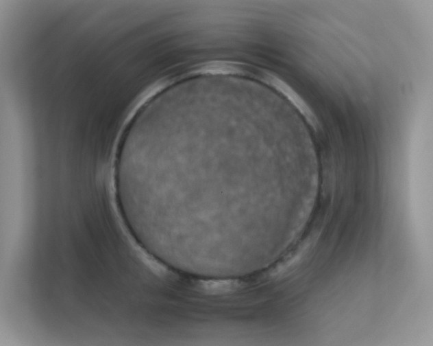 X0000111370853200907311031