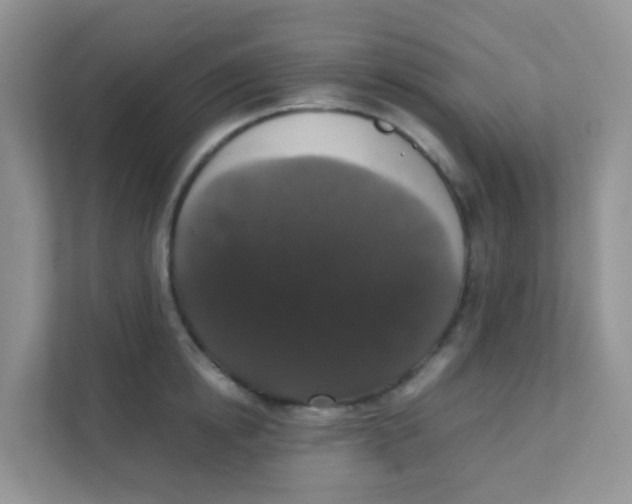 X0000111370854200907311031