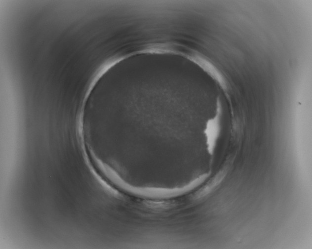 X0000111370855200907311031