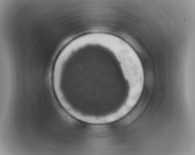 X0000111370856200907311031