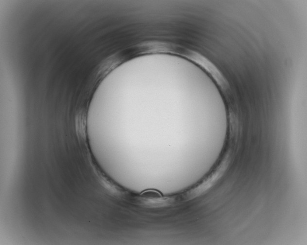 X0000111370857200907311031