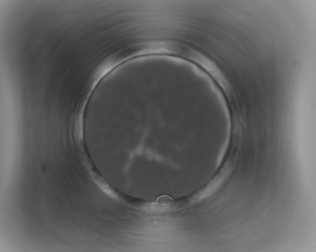 X0000111370858200907311032