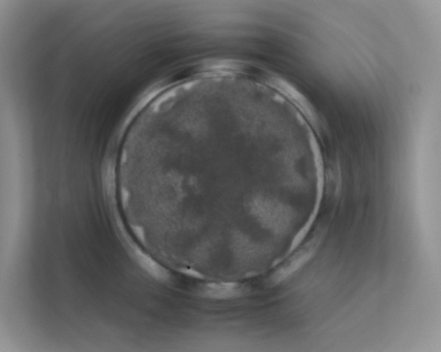 X0000111370859200907311032