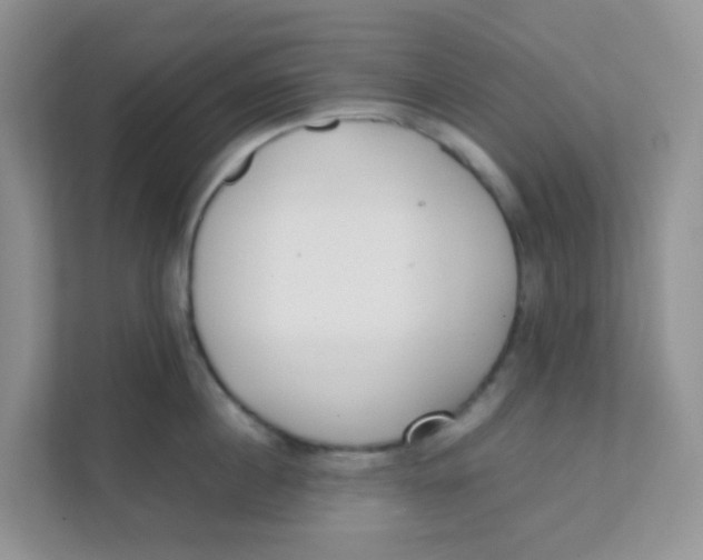 X0000111370860200907311032