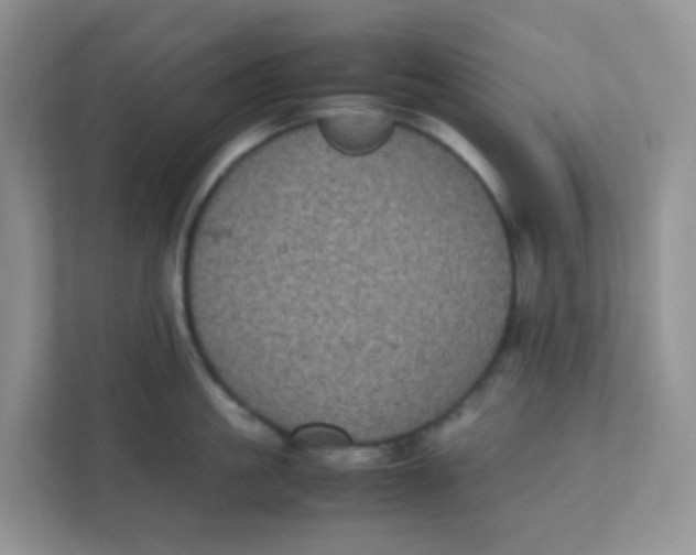 X0000111370861200907311032