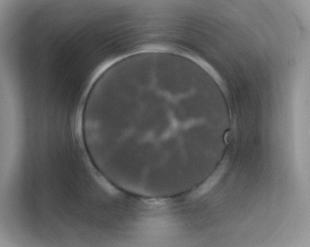 X0000111370862200907311032