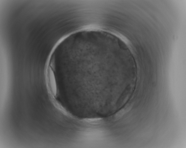 X0000111370864200907311032