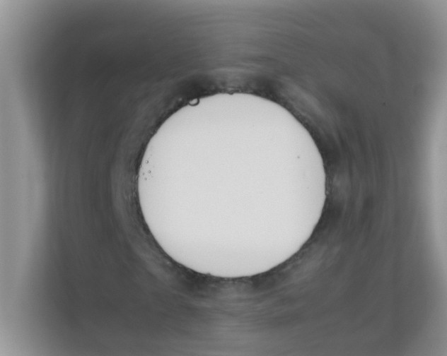 X0000111370865200907311031